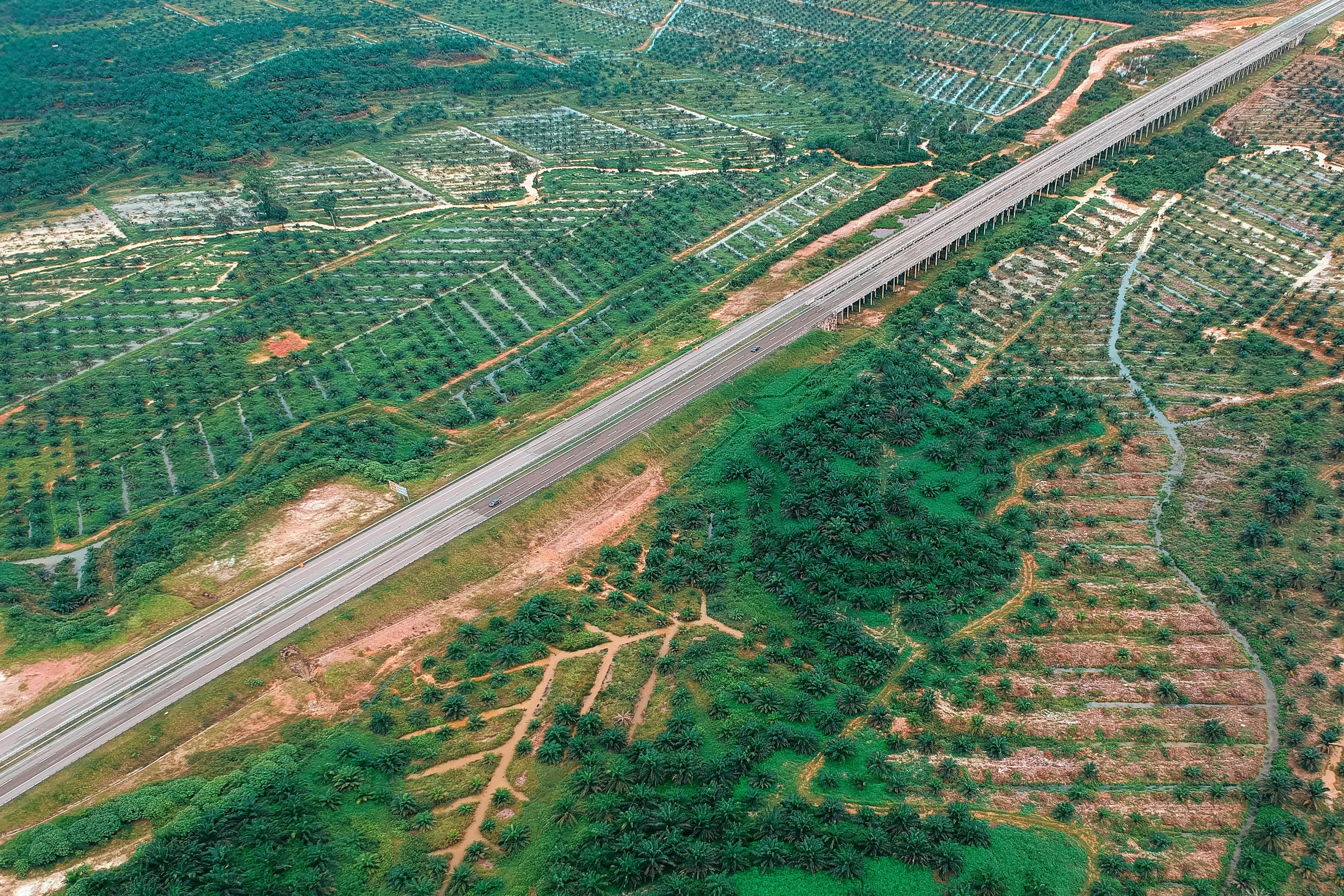 郸城洺河最新规划路图，描绘未来城市新面貌的蓝图规划
